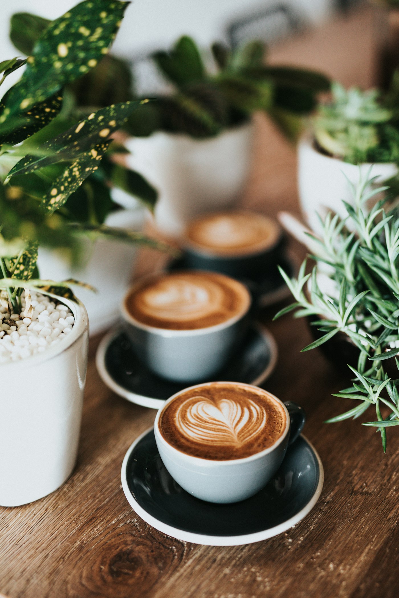 Barista pouring milk over espresso at the BeanPro counter, milk without hiding the espresso